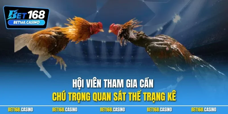 Hội viên tham gia cần chú trọng quan sát thể trạng kê